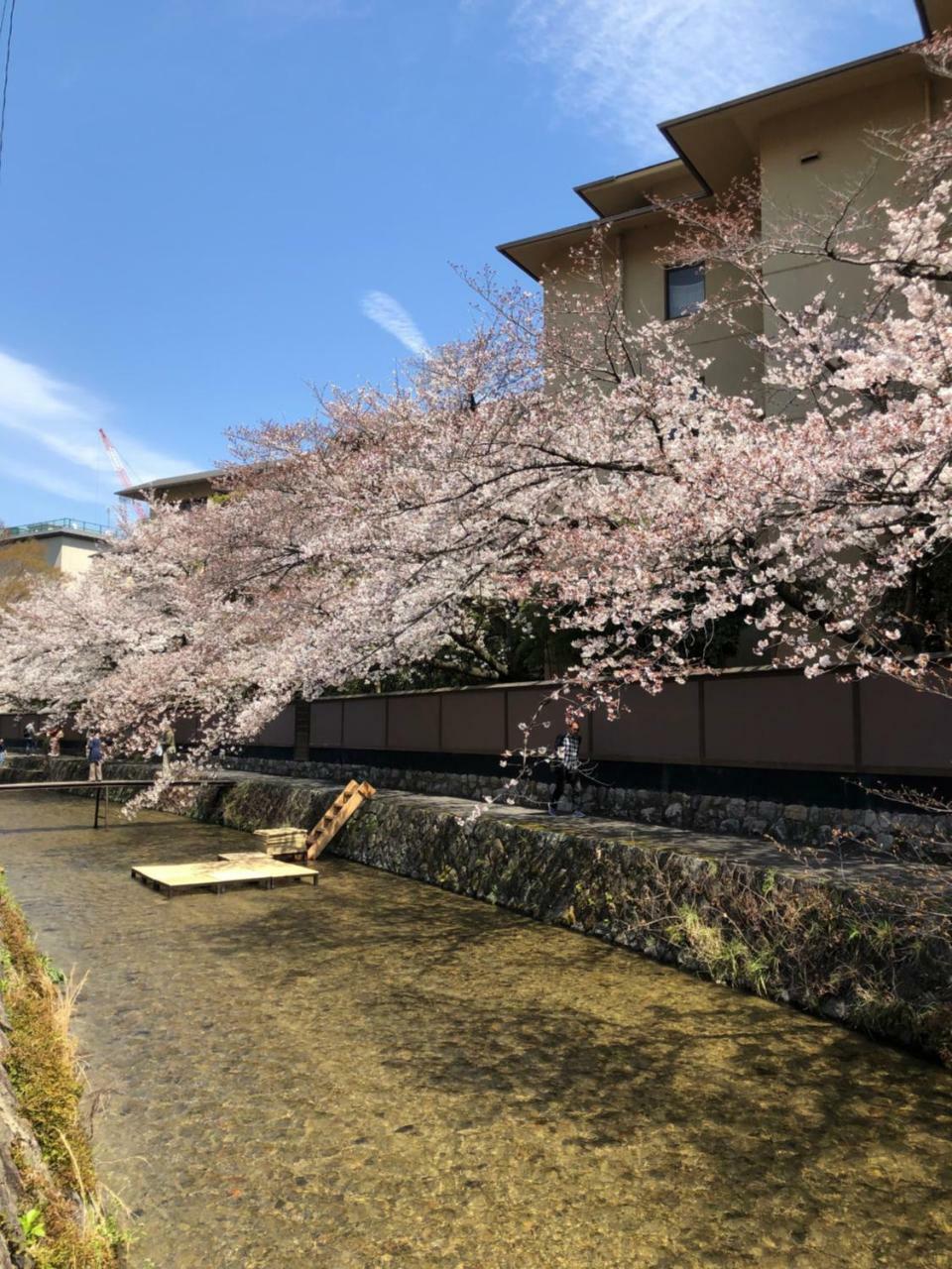 Rinn Heian Shirakawa Kyoto Ngoại thất bức ảnh