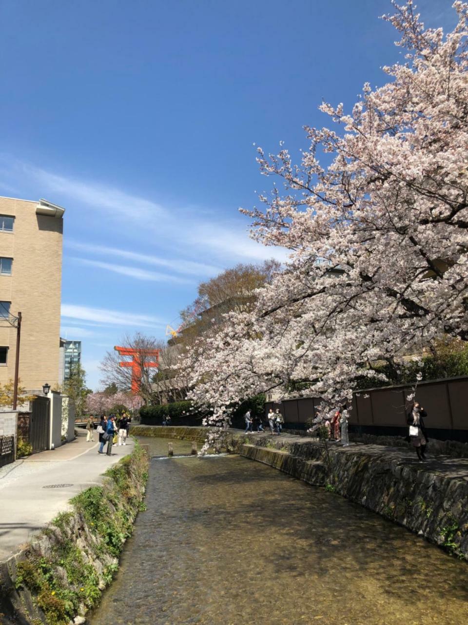 Rinn Heian Shirakawa Kyoto Ngoại thất bức ảnh